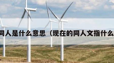 同人是什么意思（现在的同人文指什么）