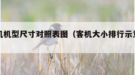 客机机型尺寸对照表图（客机大小排行示意图）