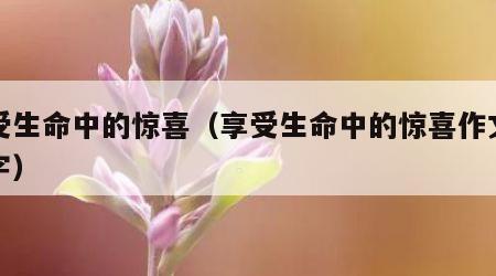 享受生命中的惊喜（享受生命中的惊喜作文八百字）