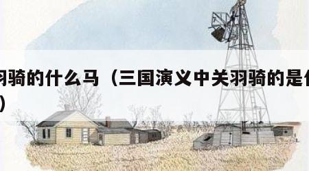 关羽骑的什么马（三国演义中关羽骑的是什么马?）