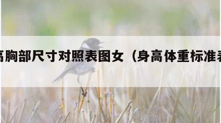 身高胸部尺寸对照表图女（身高体重标准表胸围）