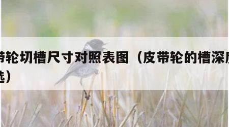 皮带轮切槽尺寸对照表图（皮带轮的槽深度怎么选）