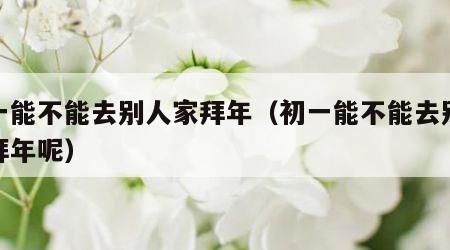 初一能不能去别人家拜年（初一能不能去别人家拜年呢）