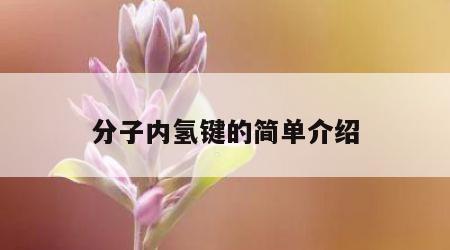 分子内氢键的简单介绍