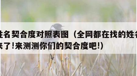 测姓名契合度对照表图（全网都在找的姓名配对来了!来测测你们的契合度吧!）