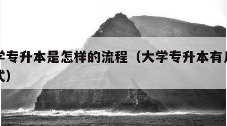 大学专升本是怎样的流程（大学专升本有几种方式）