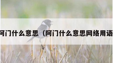 阿门什么意思（阿门什么意思网络用语）