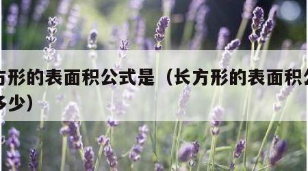 长方形的表面积公式是（长方形的表面积公式是多少）
