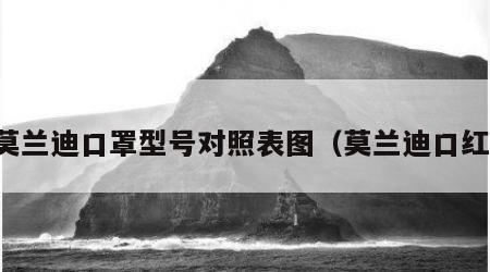 莫兰迪口罩型号对照表图（莫兰迪口红）