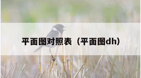 平面图对照表（平面图dh）