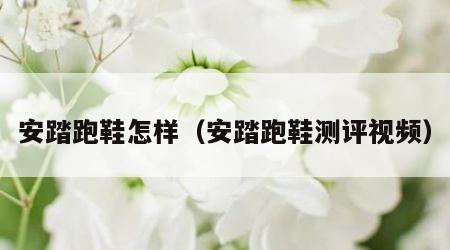 安踏跑鞋怎样（安踏跑鞋测评视频）