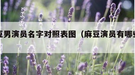 麻豆男演员名字对照表图（麻豆演员有哪些带图）