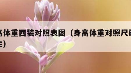 身高体重西装对照表图（身高体重对照尺码表男生）