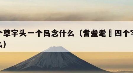 一个草字头一个吕念什么（耆耋耄耈四个字念什么）