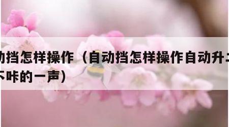 自动挡怎样操作（自动挡怎样操作自动升二档时不咔的一声）