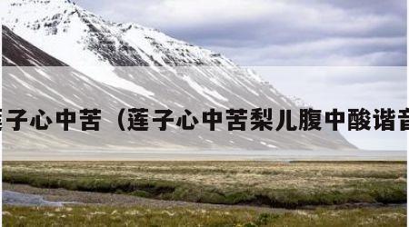 莲子心中苦（莲子心中苦梨儿腹中酸谐音）