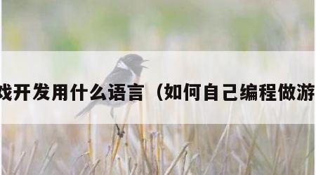 游戏开发用什么语言（如何自己编程做游戏）