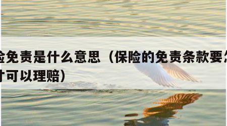 保险免责是什么意思（保险的免责条款要怎么说才可以理赔）