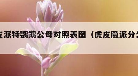 虎皮派特鹦鹉公母对照表图（虎皮隐派分公母）