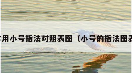 常用小号指法对照表图（小号的指法图表）