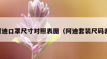 阿迪口罩尺寸对照表图（阿迪套装尺码表）