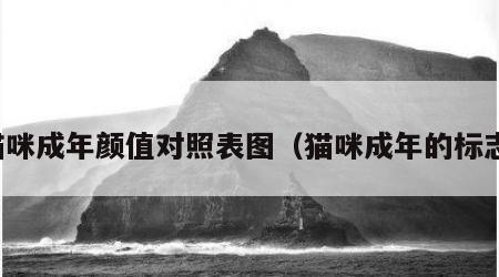 猫咪成年颜值对照表图（猫咪成年的标志）