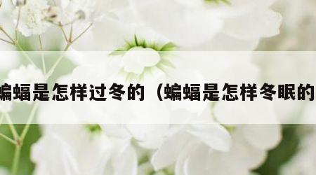 蝙蝠是怎样过冬的（蝙蝠是怎样冬眠的）