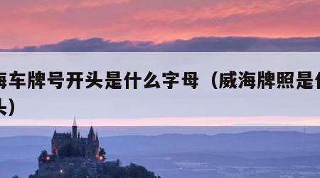 威海车牌号开头是什么字母（威海牌照是什么开头）