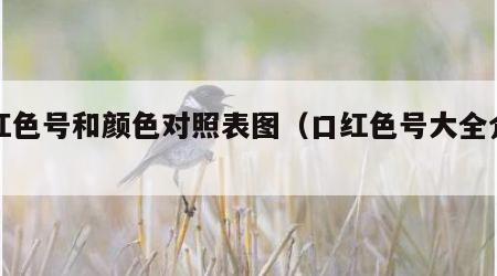 口红色号和颜色对照表图（口红色号大全介绍）