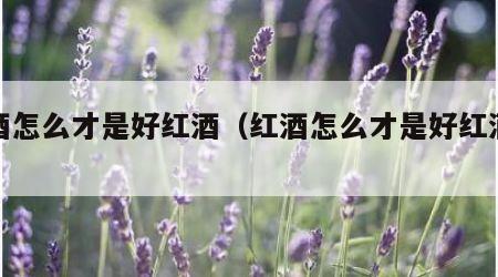 红酒怎么才是好红酒（红酒怎么才是好红酒度数）