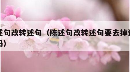 陈述句改转述句（陈述句改转述句要去掉语气词吗）