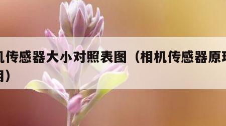 相机传感器大小对照表图（相机传感器原理及应用）