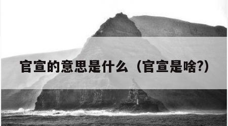 官宣的意思是什么（官宣是啥?）