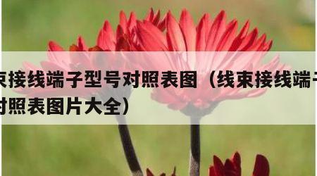线束接线端子型号对照表图（线束接线端子型号对照表图片大全）