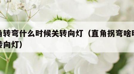 直角转弯什么时候关转向灯（直角拐弯啥时候关转向灯）