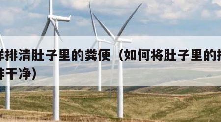 怎样排清肚子里的粪便（如何将肚子里的排便物排干净）