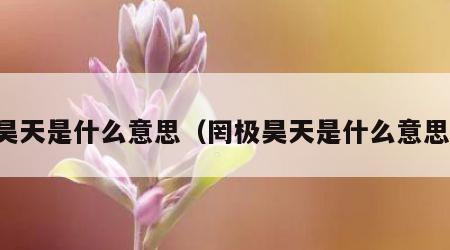 昊天是什么意思（罔极昊天是什么意思）