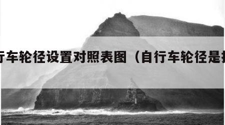 自行车轮径设置对照表图（自行车轮径是指什么）