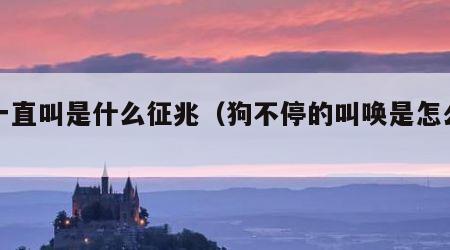狗一直叫是什么征兆（狗不停的叫唤是怎么回事）