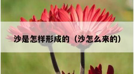 沙是怎样形成的（沙怎么来的）