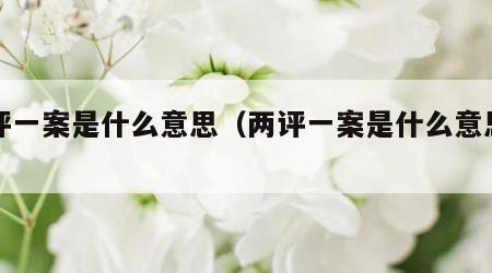 两评一案是什么意思（两评一案是什么意思啊）