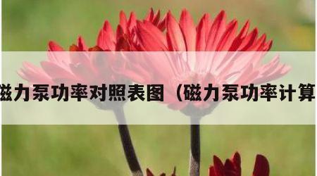 磁力泵功率对照表图（磁力泵功率计算）