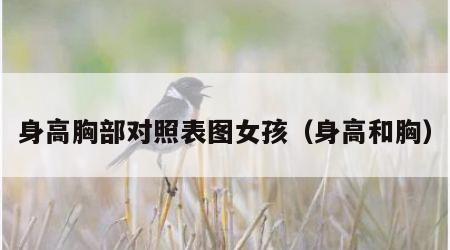 身高胸部对照表图女孩（身高和胸）