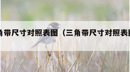 三角带尺寸对照表图（三角带尺寸对照表图片）