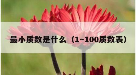 最小质数是什么（1～100质数表）