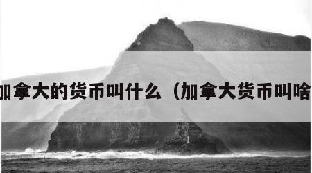 加拿大的货币叫什么（加拿大货币叫啥）