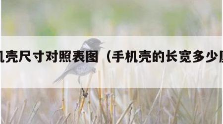 手机壳尺寸对照表图（手机壳的长宽多少厘米）