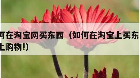如何在淘宝网买东西（如何在淘宝上买东西?网上购物!）
