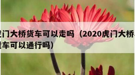 虎门大桥货车可以走吗（2020虎门大桥小货车可以通行吗）