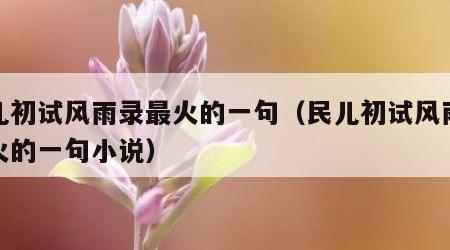 民儿初试风雨录最火的一句（民儿初试风雨录最火的一句小说）